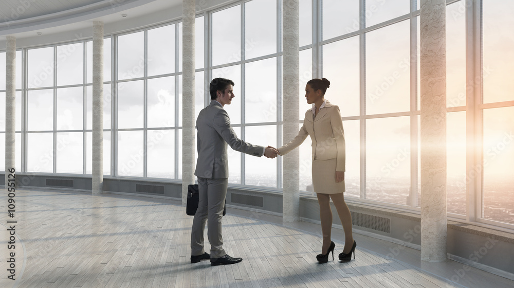 Business partners handshake Business partners handshake