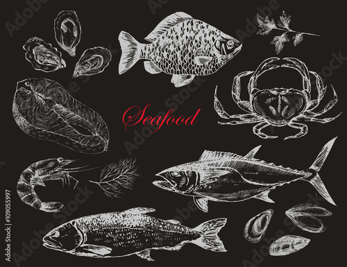 vector hand drawn seafood set - shrimp, crab, lobster, salmon, oysters, mussel, tuna, trout, carp. mediterranean cuisine sea food sketch
