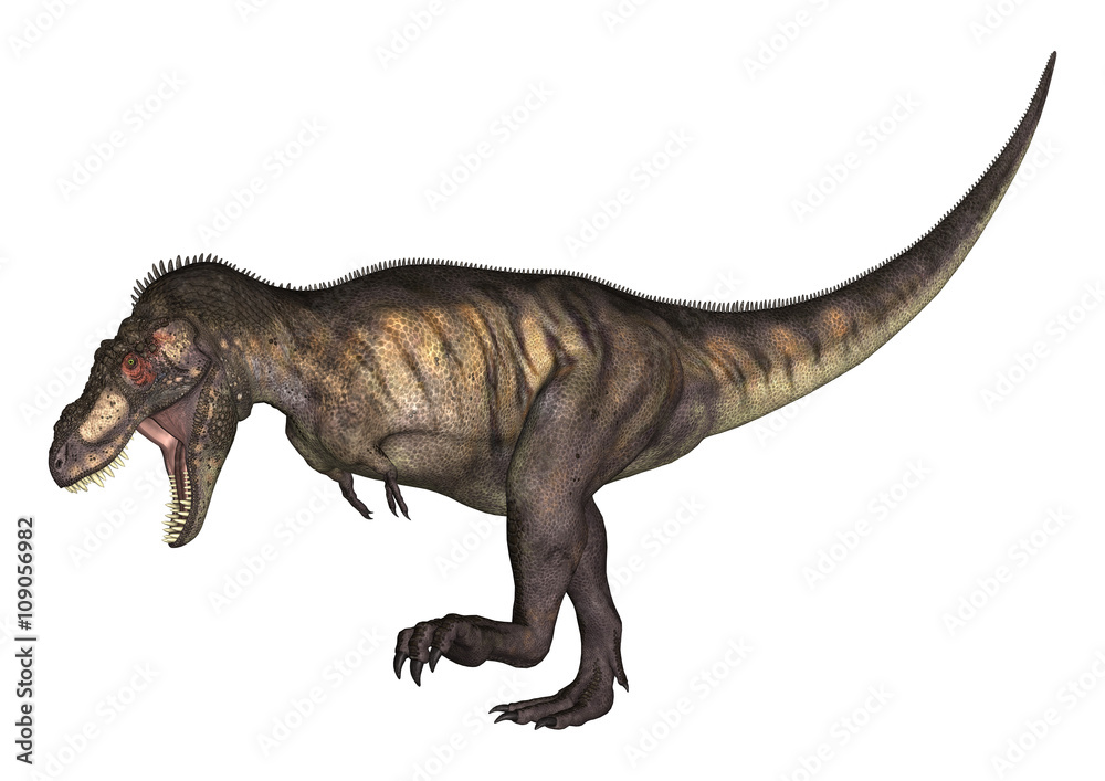 Naklejka 3D Ilustracyjny Tyrannosaurus na bielu