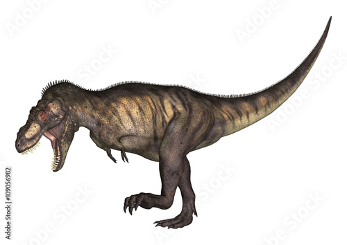 3D Illustration Tyrannosaurus on White
