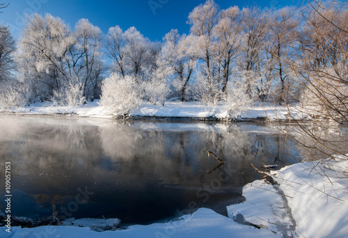 winter trees covered with frost and fog on the river
