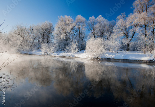 winter trees covered with frost and fog on the river © xan844