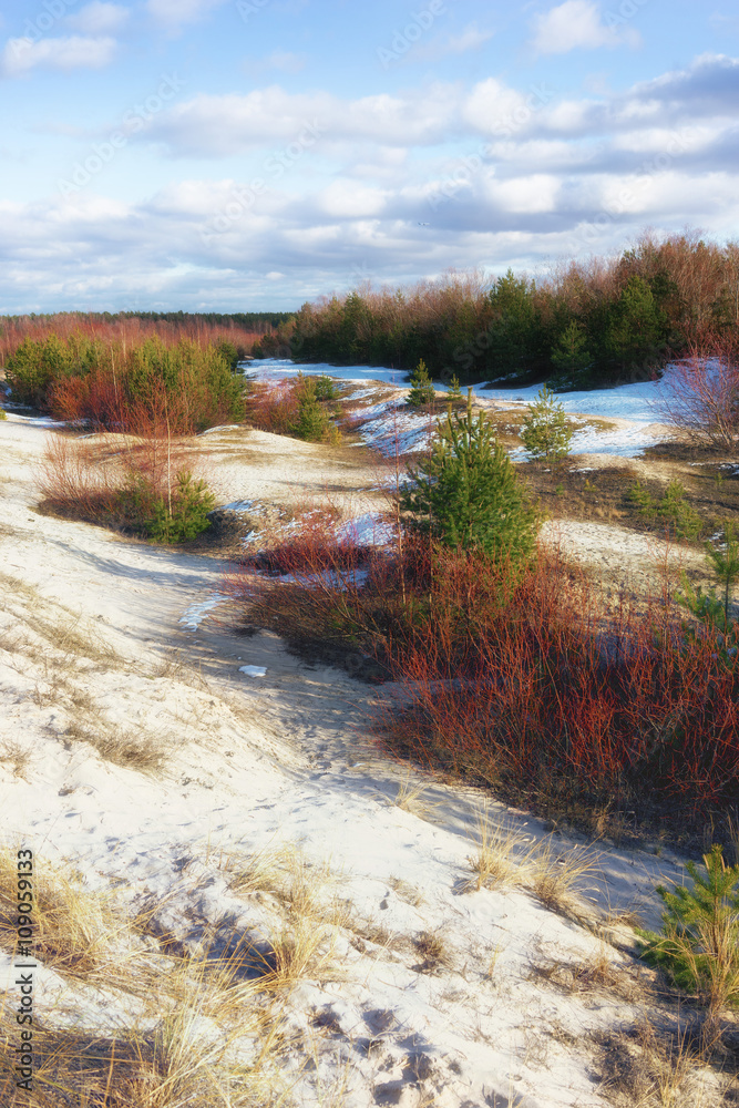 Sand dunes of the Baltic Sea in the early spring Sand dunes of the Baltic Sea in the early spring