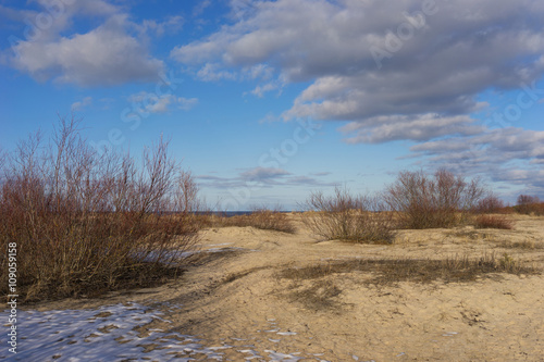 Sand dunes of the Baltic Sea in the early spring. Latvia