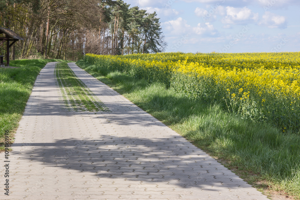 Wirtschaftsweg zwischen Feldern Wirtschaftsweg zwischen Feldern