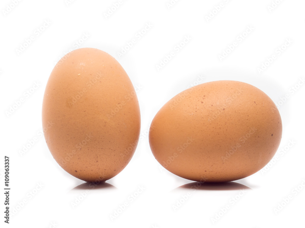 chicken egg isolated on white