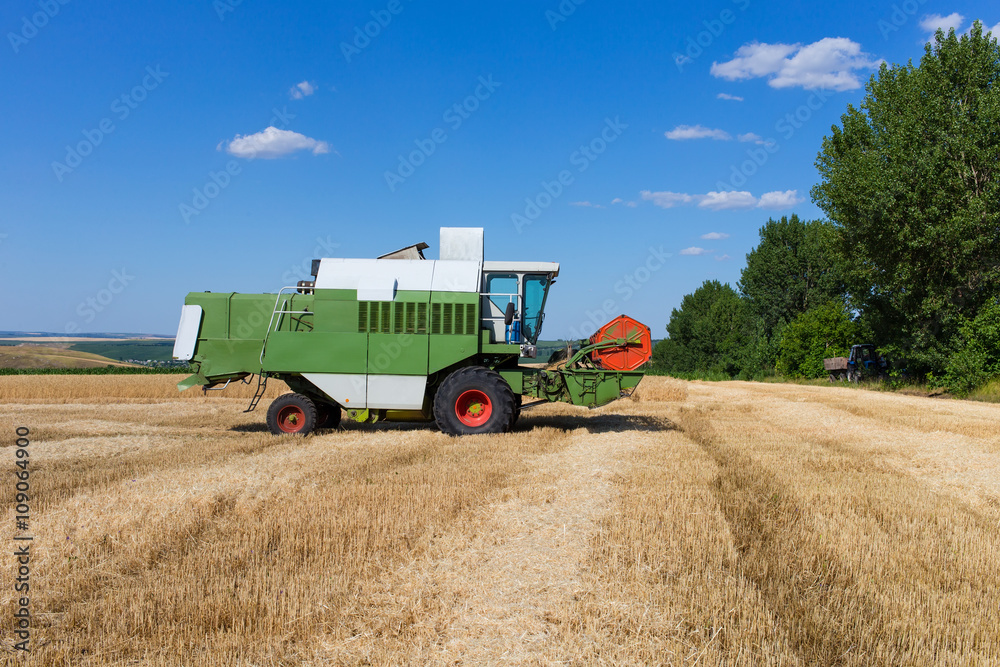 Fototapeta premium Combine harvester working on a wheat field.