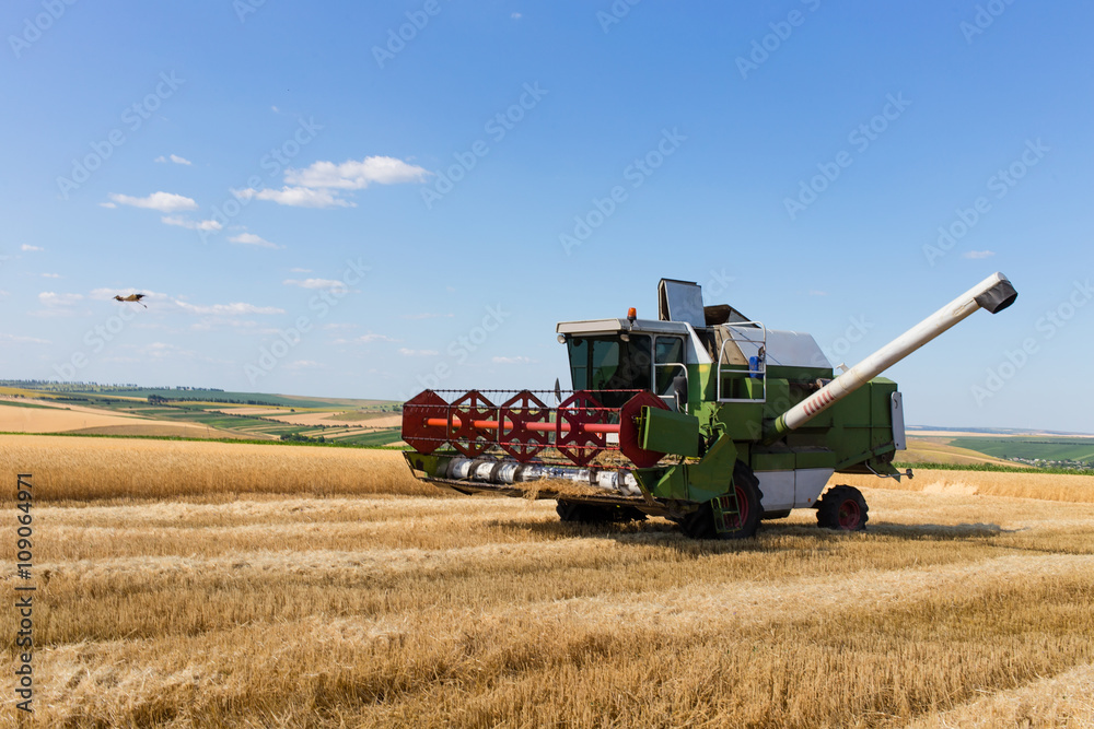 Obraz premium Combine harvester working on a wheat field.