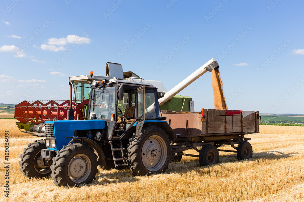 Harvest machine loading seeds in to trailer. Harvest machine loading seeds in to trailer.