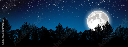 Panoramic starry night landscape
