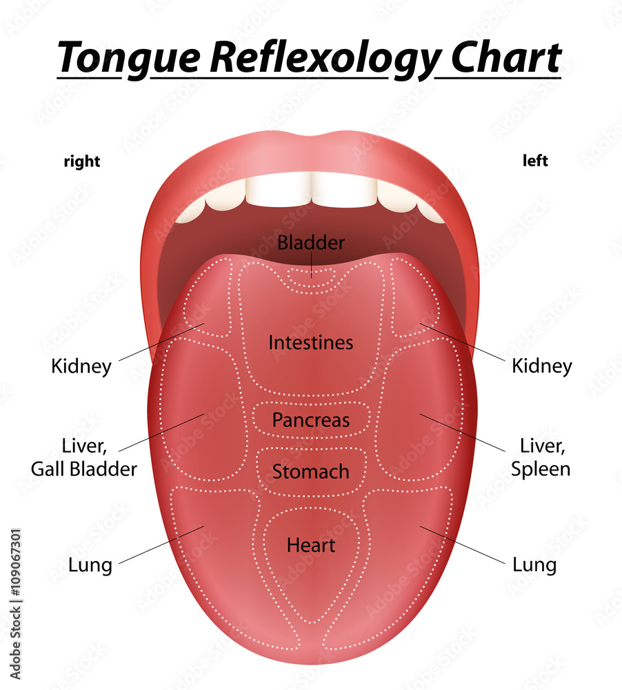 Tongue reflexology chart with description of the corresponding internal ...