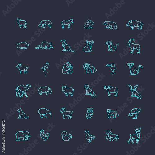 Photography vector icons. Zoo. Animals