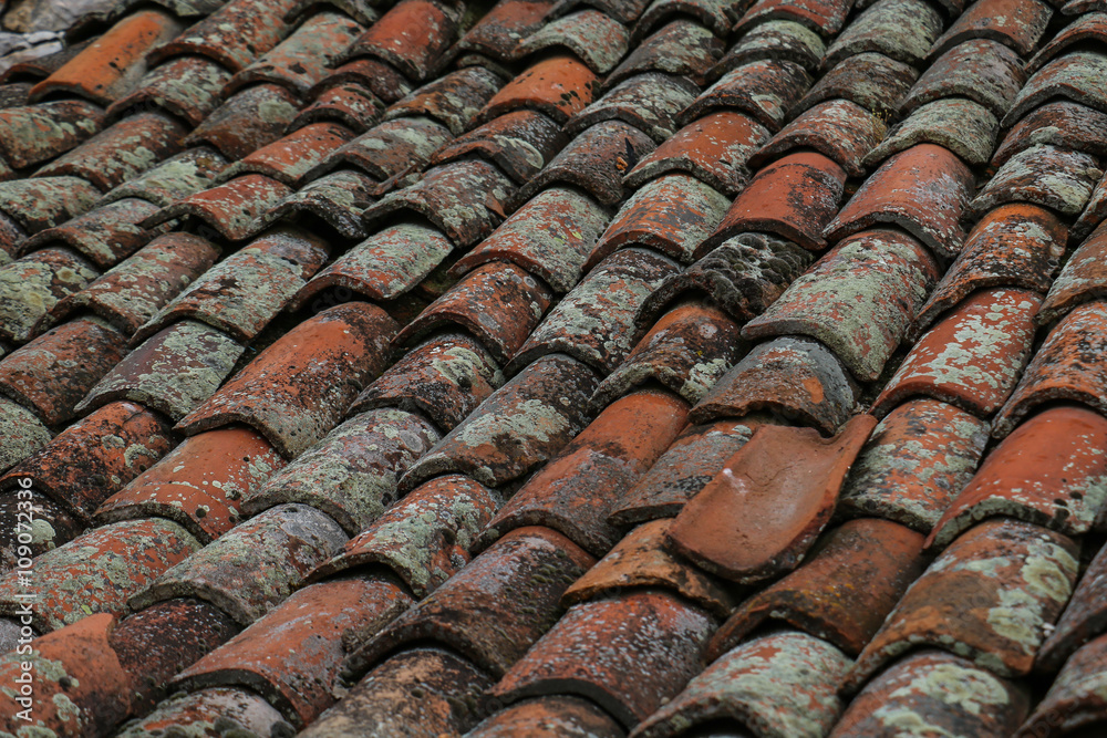 Worn-out clay roofing in close-up Worn-out clay roofing in close-up