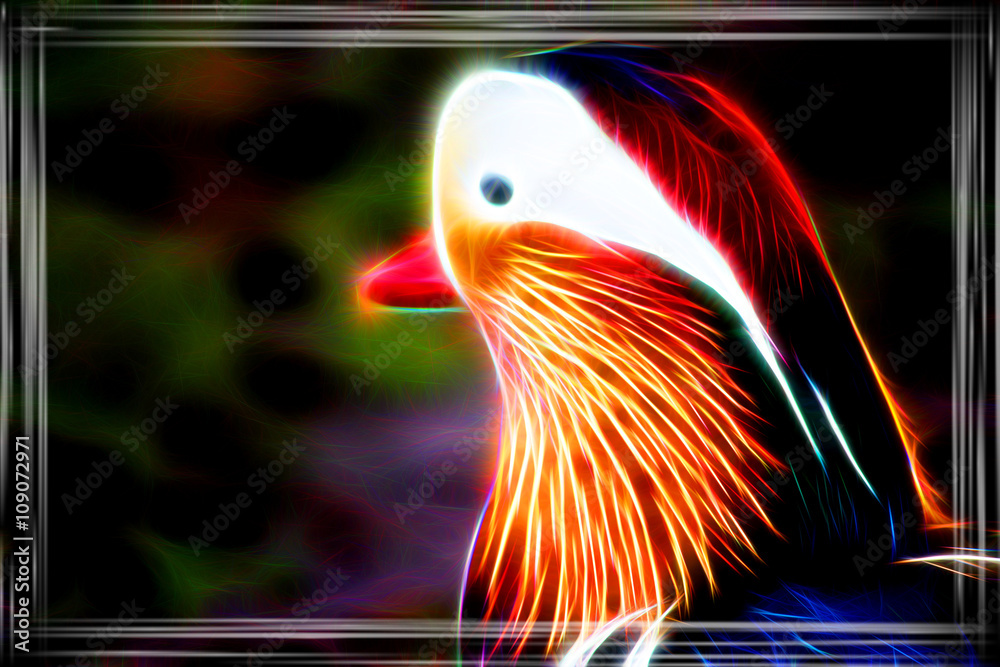 Fototapeta premium Mandarin - Ente