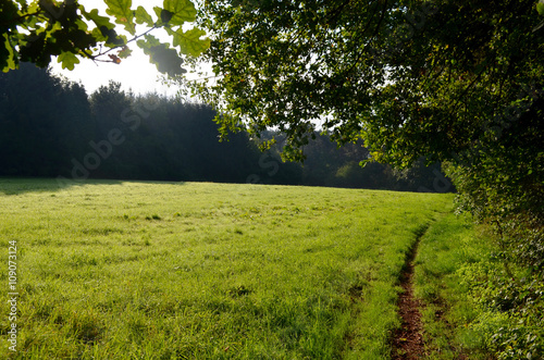 Small hiking trail at forest edge through a meadow in natural area in Flanders