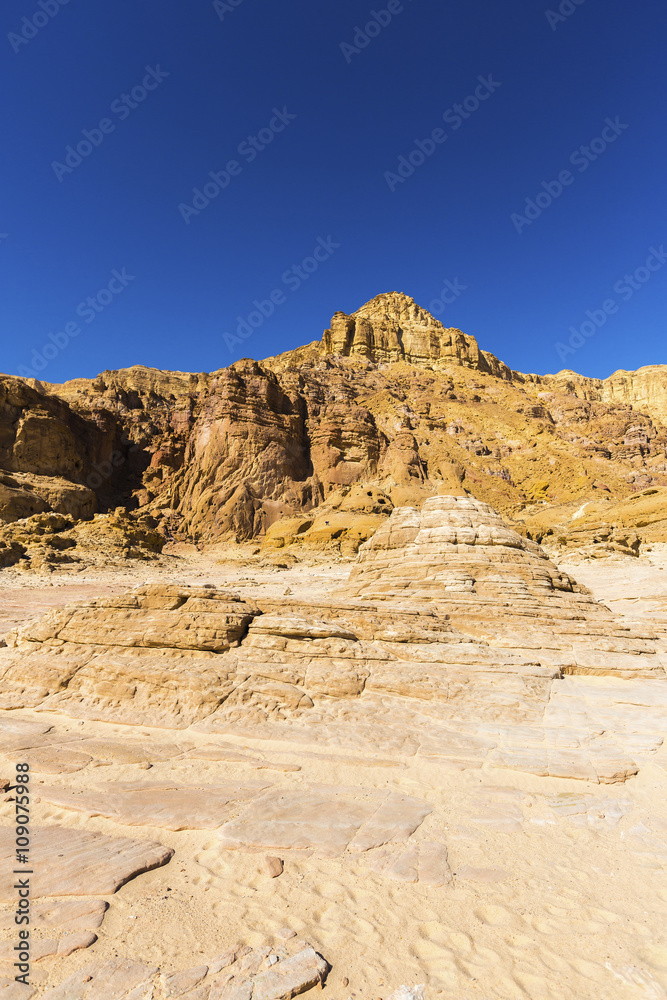 Fototapeta premium landscape in the desert