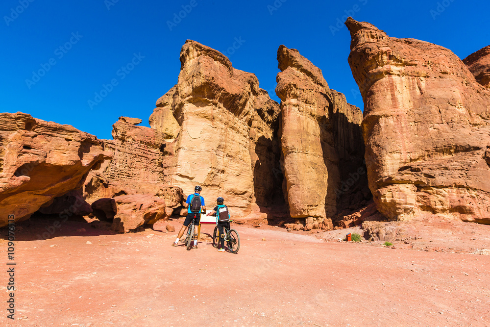 people riding bicycles along the canyon