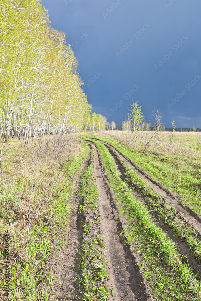 Fototapeta premium road in field