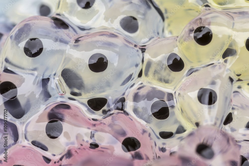 Naklejka premium Abstract Frogspawn