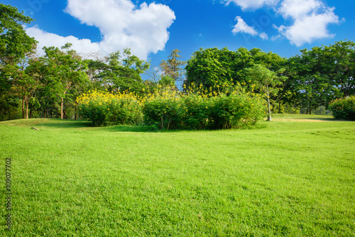 Green lawn with blue sky in park
