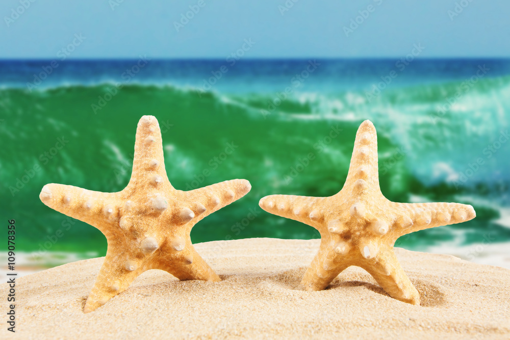sandy beach. Starfish on the Beach. Summer Time sandy beach. Starfish on the Beach. Summer Time