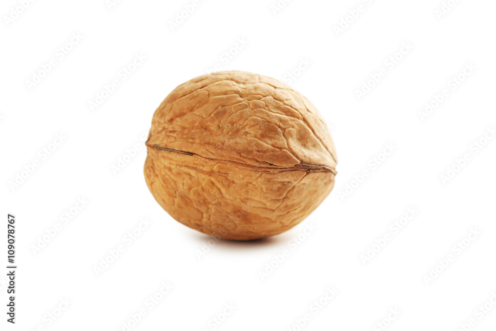 Walnut isolated on a white background Walnut isolated on a white background