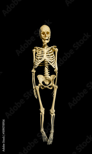 The skeleton of a man isolated on black background