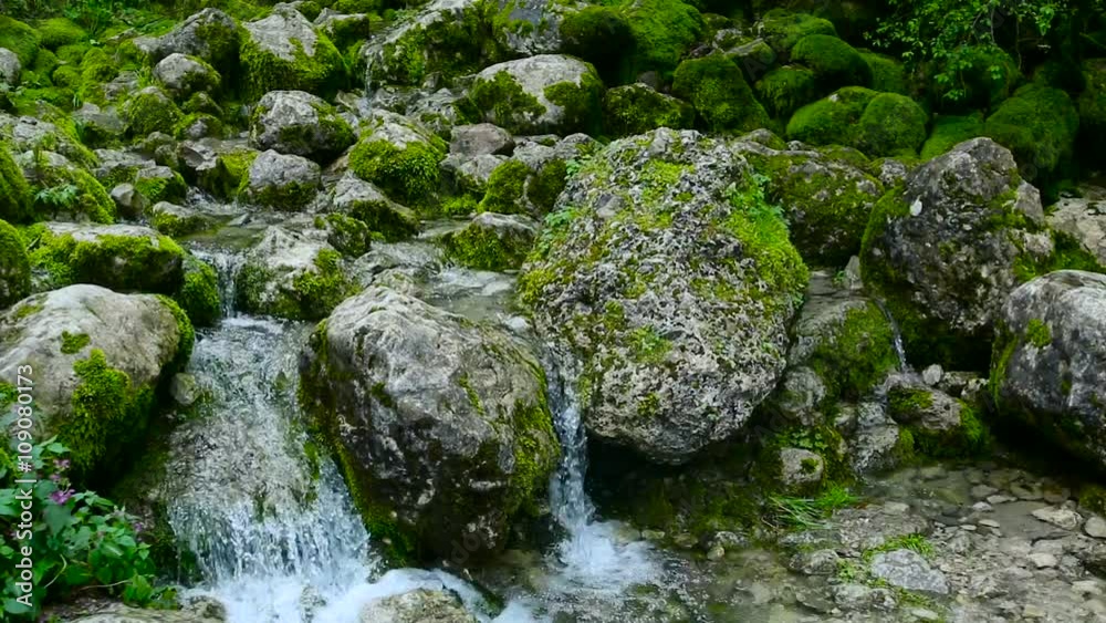 rapid stream with rocks and moss rapid stream with rocks and moss