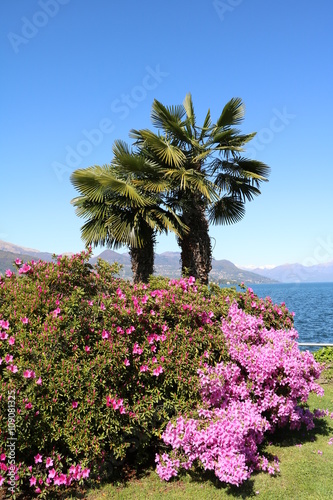 Fotografia Holidays under blue sky at Lake Maggiore, Piedmont Italy