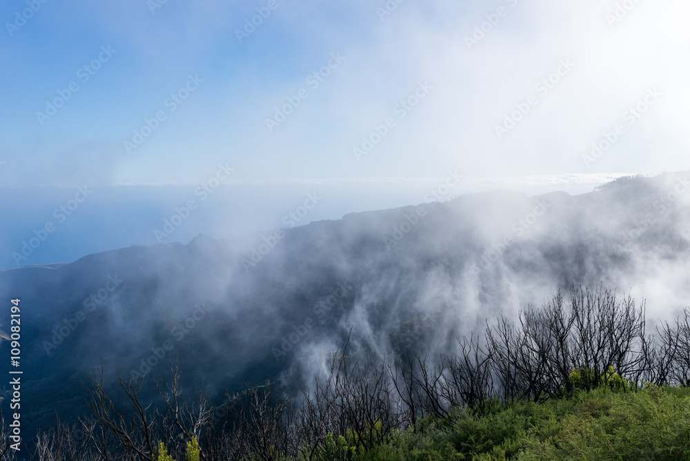 Barranco de Benchijigua on the Canary island La Gomera in clouds, which were formed above regions within trade wind. The clouds comes from the Azores and reaches the Islands in approx. 800m altitude