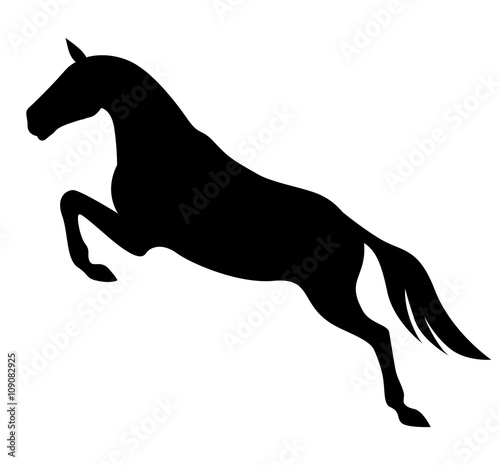 Silhouette of jumping horse
