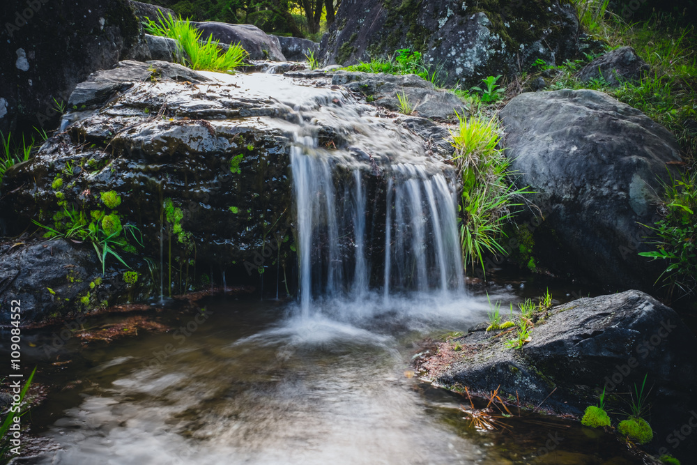 Fototapeta premium small mountain waterfall in the garden