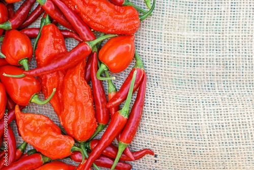 An assortment of thai dragons, bhut jolokia, scotch bonnet peppers on a burlap background with room for text