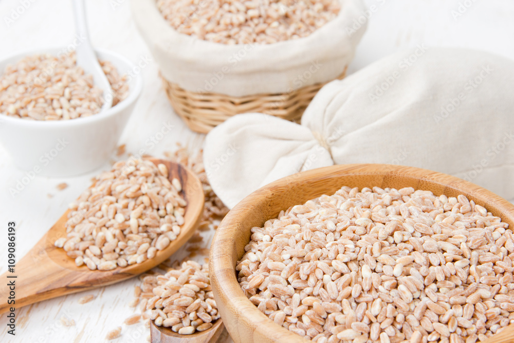 Wheat Seed Heaps Wheat Seed Heaps
