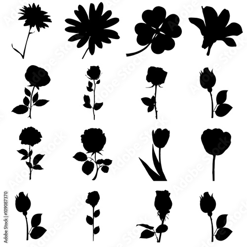 flores