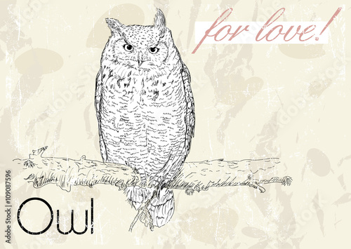 Wallpaper Mural Poster with owl. Vintage style.  Torontodigital.ca