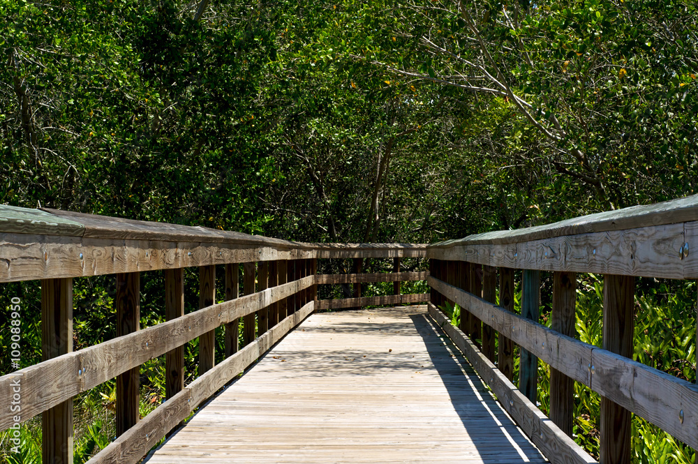 low view of wooden boardwalk in florida