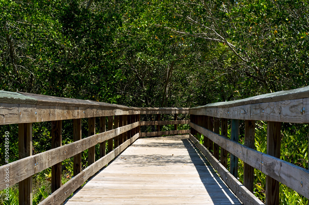 low view of wooden boardwalk in florida low view of wooden boardwalk in florida