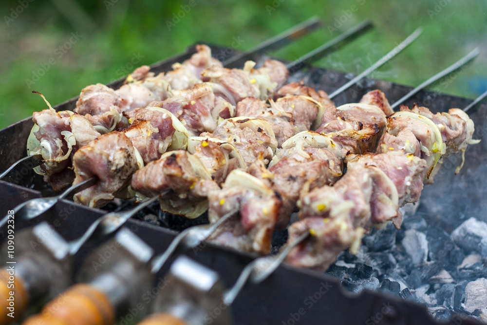 Shashlik pieces of mution roasted on a spit Shashlik pieces of mution roasted on a spit