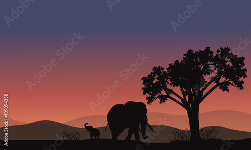 Fototapeta Naklejka Na Ścianę i Meble -  Africa landscape with elephant silhouette