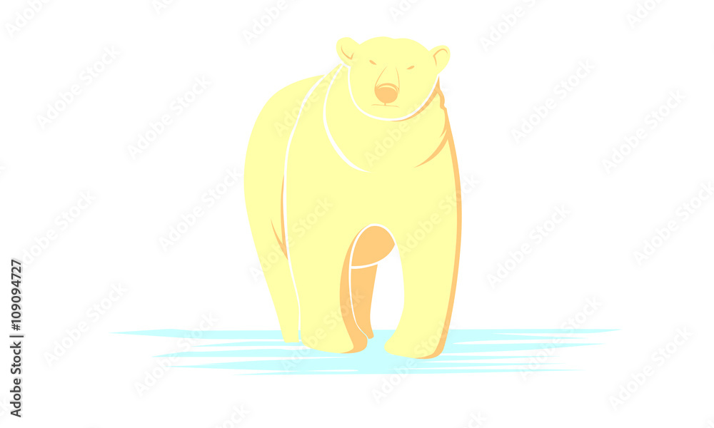Obraz premium Polar Bear Vector