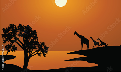 Giraffe family silhouettes in Africa © wongsalam77