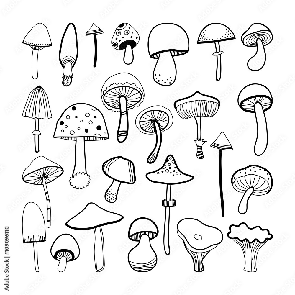 Doodle black and white mushrooms on background. Vector 