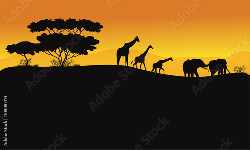 Animals in hill scenery