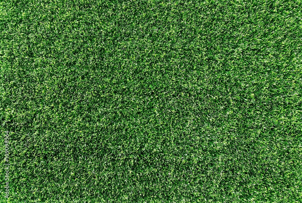 Fototapeta premium Green grass texture background