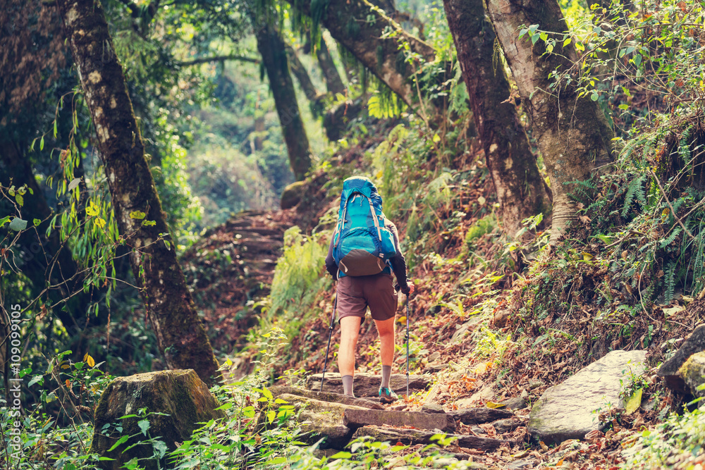 Obraz premium Hike in Baker Area