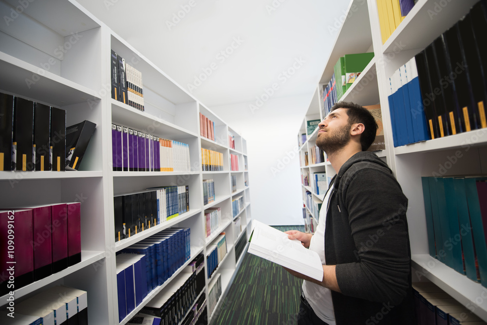 Fototapeta premium student study in school library