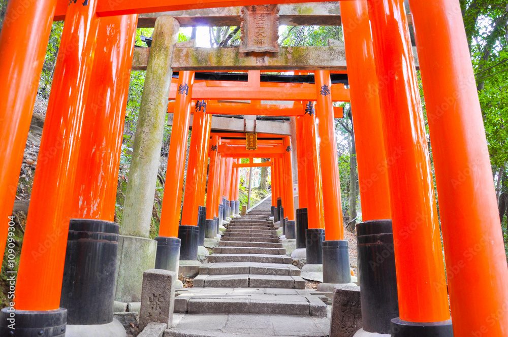 京都伏見稲荷の千本鳥居 Stock 写真 Adobe Stock