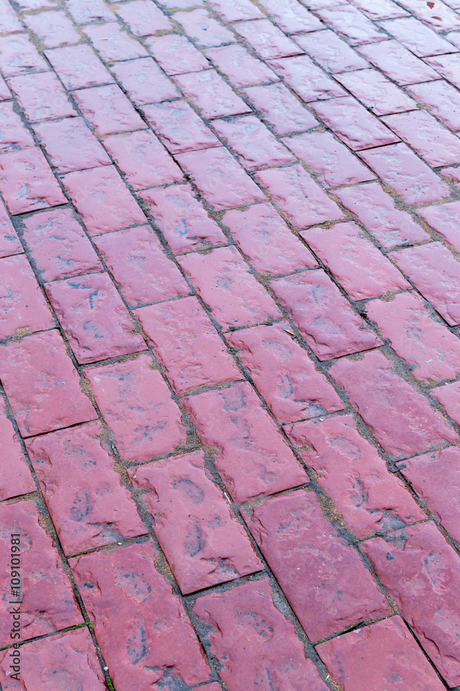 Fototapeta premium Wet Red Pink Cobblestone Path