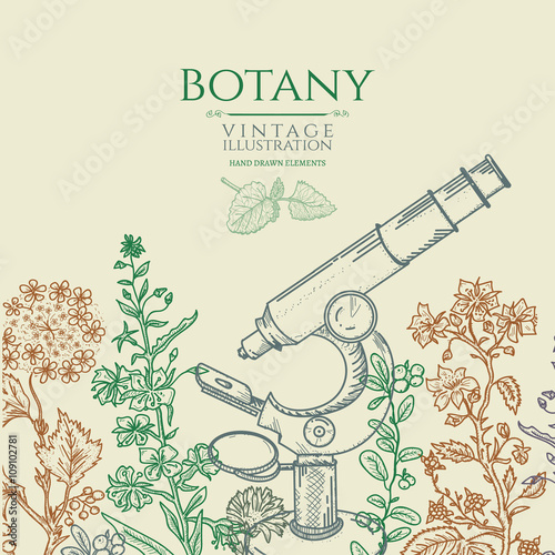 Botany vintage hand drawn vector illustration